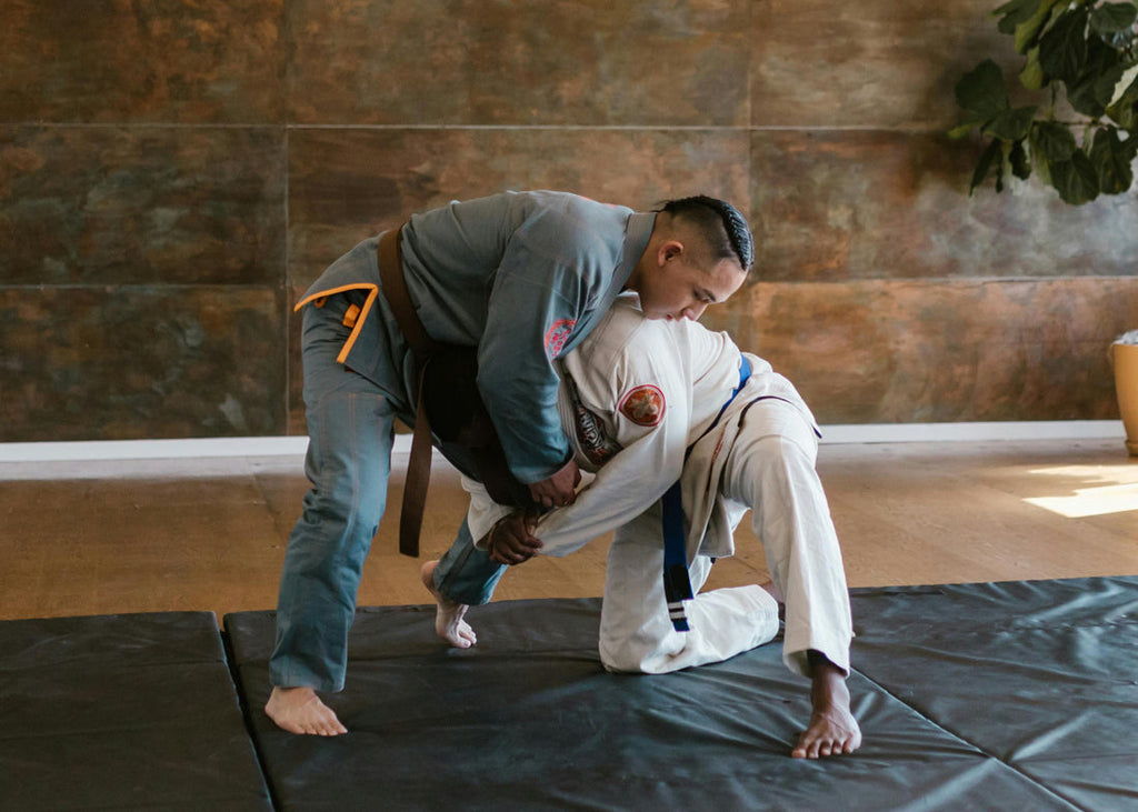 What Is Jiu Jitsu